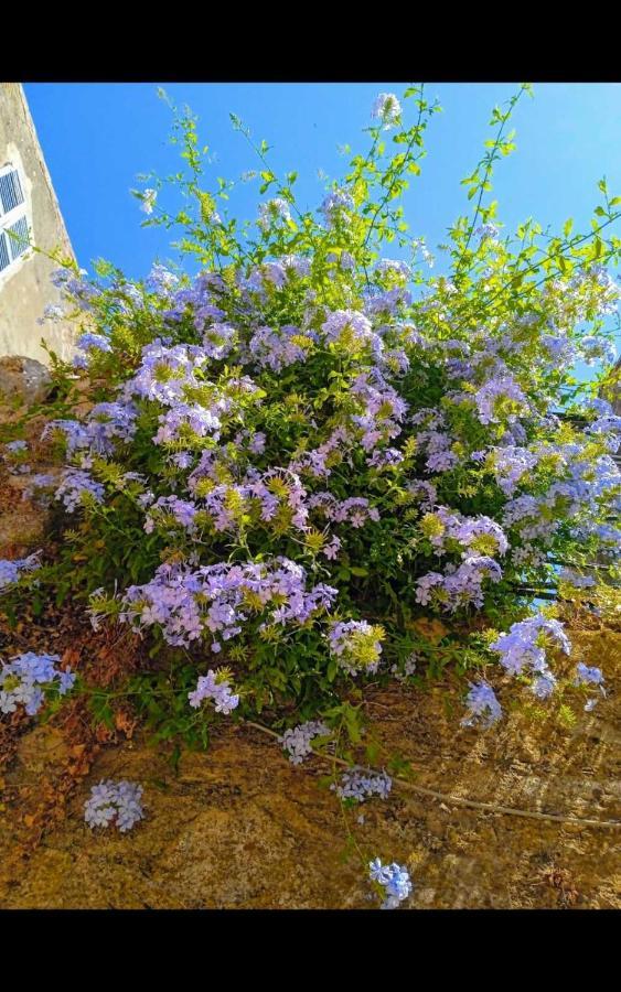 City Walls Sea View Corfu  Exterior foto